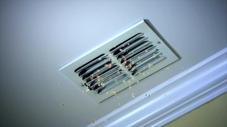 Best Affordable Air Duct Cleaning  in Danville, KY